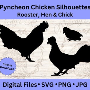 Peut inclure: Images de silhouettes noires d'un coq, d'une poule et d'un poussin. Le texte "Pyncheon Chicken Silhouettes Rooster, Hen & Chick" est en haut. Le texte "Digital Files • SVG • PNG • JPG" est en dessous. Un badge "Téléchargement instantané" est également présent.