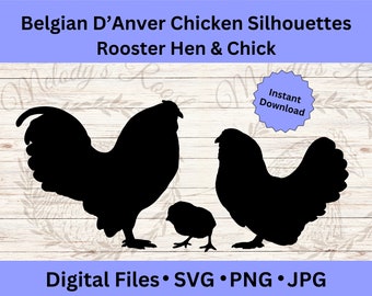 Belgian D'anver Chicken SVG Files, Farm Poultry Clipart, Printable Farmhouse Decor, Rooster PNG