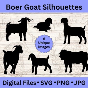Boer chèvre Silhouette SVG, Clipart chèvre de spectacle, Logo animaux de la ferme, chèvre PNG, créations DIY
