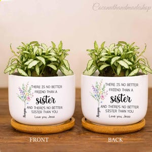 Personalized Sister Planter Gift, There&#39;s No Better Friend Than a Sister, Sister Birthday Gift, Custom Mini Plant Pot for Sister
