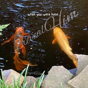 Wish you were here…