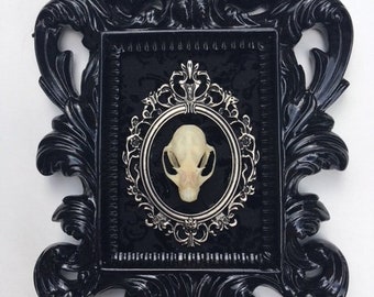 Bat Skull Dark Art Oddity Curio Java Bat Real Bat Skull Java Bat Skull Curiosities Bat Skull Skull Skull Bones Gothic Oddities