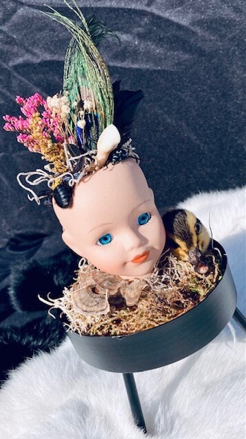 Doll Head in Cloche - Etsy