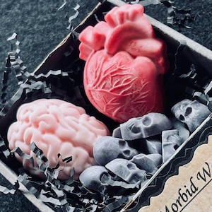 Morbid Wax Melts – Anatomical Heart, Brain & Skull Wax Melts | 100% Soy, Vegan, Gothic Home Fragrance, Phthalate-Free Wax Tarts, Halloween