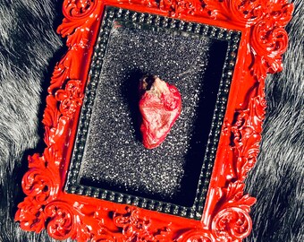 Real Mummified Heart Framed - Taxidermy - Bird Heart - Oddities - Valentines - Curiosities - Goth - Witchy - Wall Decor - Home Decor -