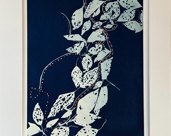 Originele botanische cyanotype, blauwe en witte kunst, originele zonafdruk, cyanotype