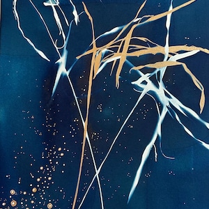 Original Botanical Cyanotype, Blue and White Art, Original Sun Print, Cyanotype