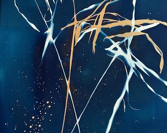 Originele botanische cyanotype, blauwe en witte kunst, originele zonafdruk, cyanotype