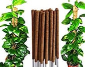 coco pole coconut coir fibre plant support stake for creeper 1 ft to 4ft , Coir Moss Stick Coco Pole for Climbing Indoor Money Plants