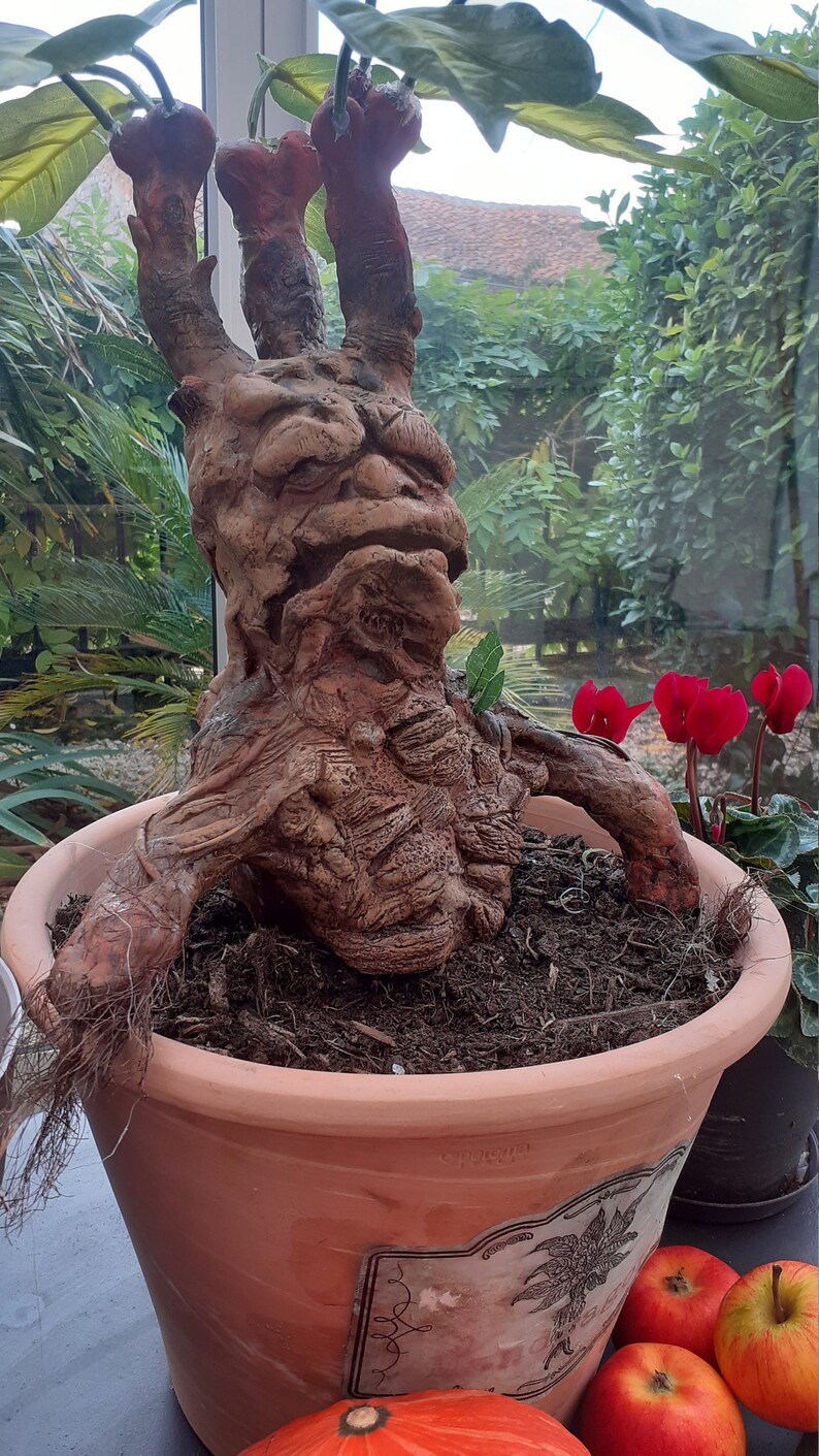 Mandrake Harry Potter realisitc