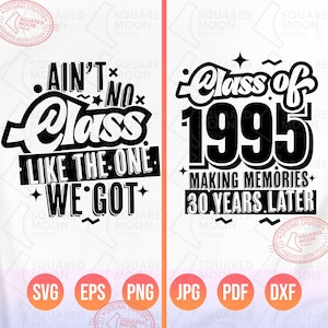 Class Reunion Svg Png, Class of 1995 voor 30e klasgenoten reünie bijpassende Shirts voor voor- en achterkant, Ain't No Class, Making Memories
