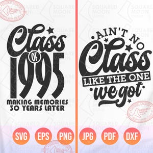Ain't No Class Like the One We Got Svg Png, Class of 1995 for 30th High School Class Reunion bijpassende shirts voor voor- en achterkant