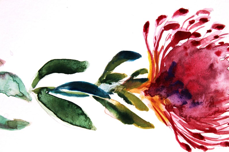 Pincushion Protea Painting Pincushion Protea Pincushion Etsy