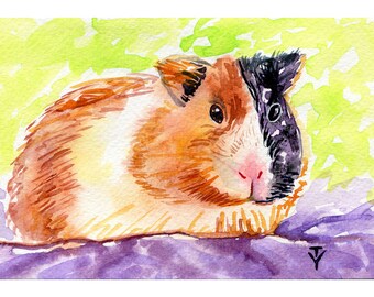 acrylic colors on a pastel background Portrait 4 guinea pigs in different colors Cotton canvas 11.8x15.7 inches