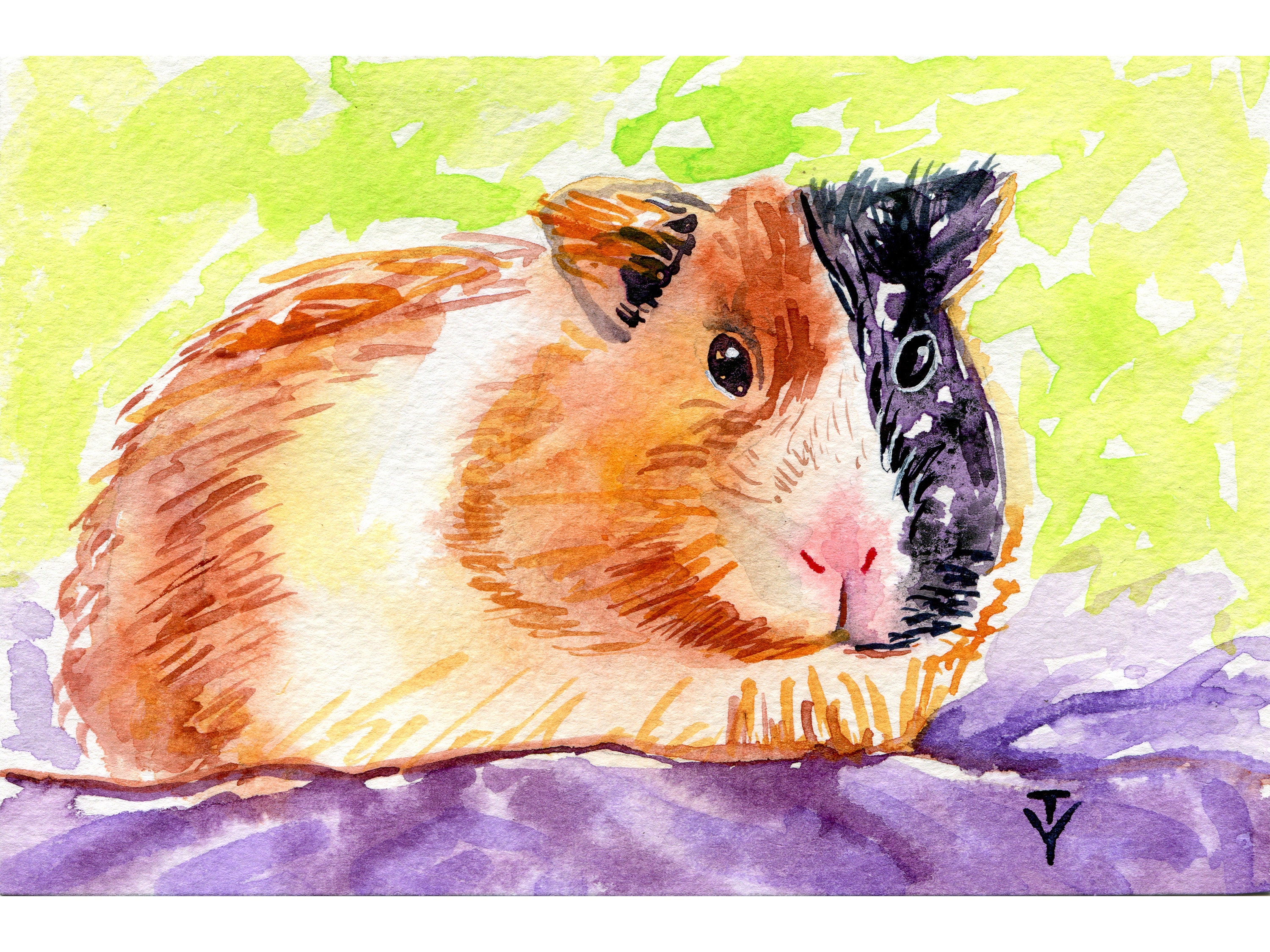 Guinea Pig Painting Original Art Pet Artwork Small Watercolor Etsy
