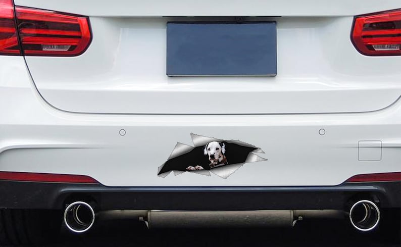 Dalmatian Dog Pet Decal for vehicle car van laptop Fun Gift idea