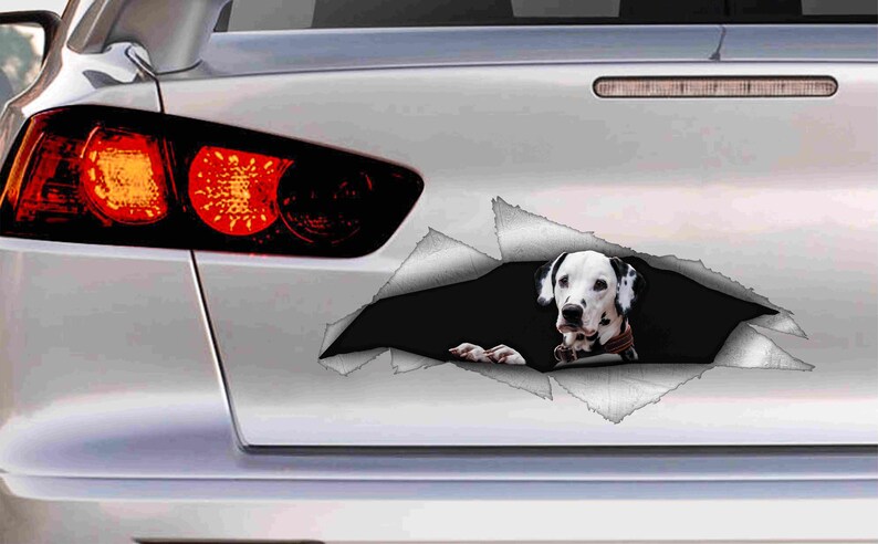 Dalmatian Dog Pet Decal for vehicle car van laptop Fun Gift idea