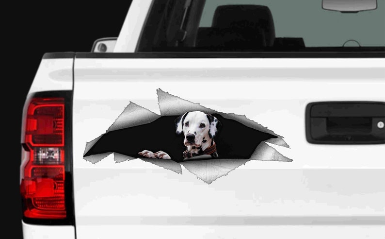 Dalmatian Dog Pet Decal for vehicle car van laptop Fun Gift idea