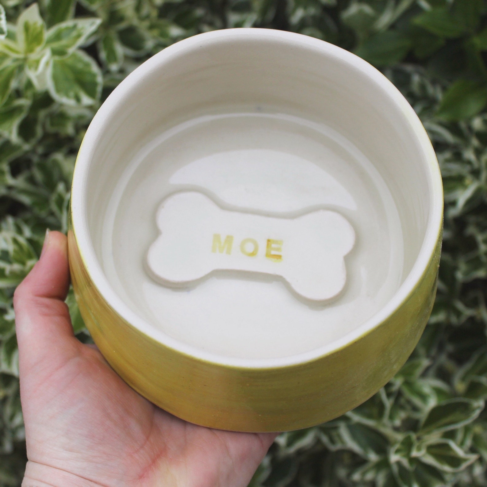 Ceramic Dog Bowls Etsy