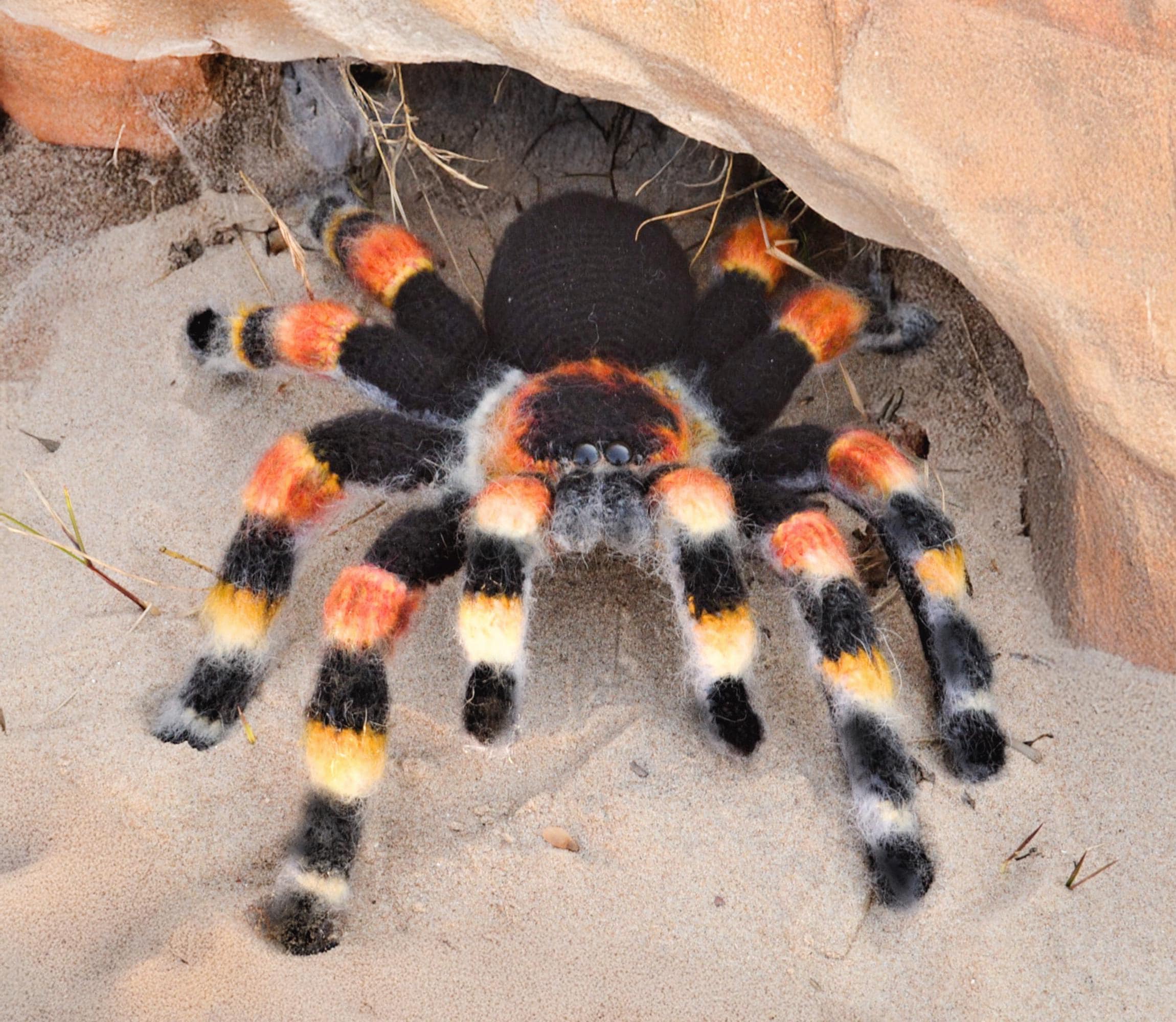 Crocheted Mexican Red-knee Tarantula. Stuffed Realistic Spider. - Etsy