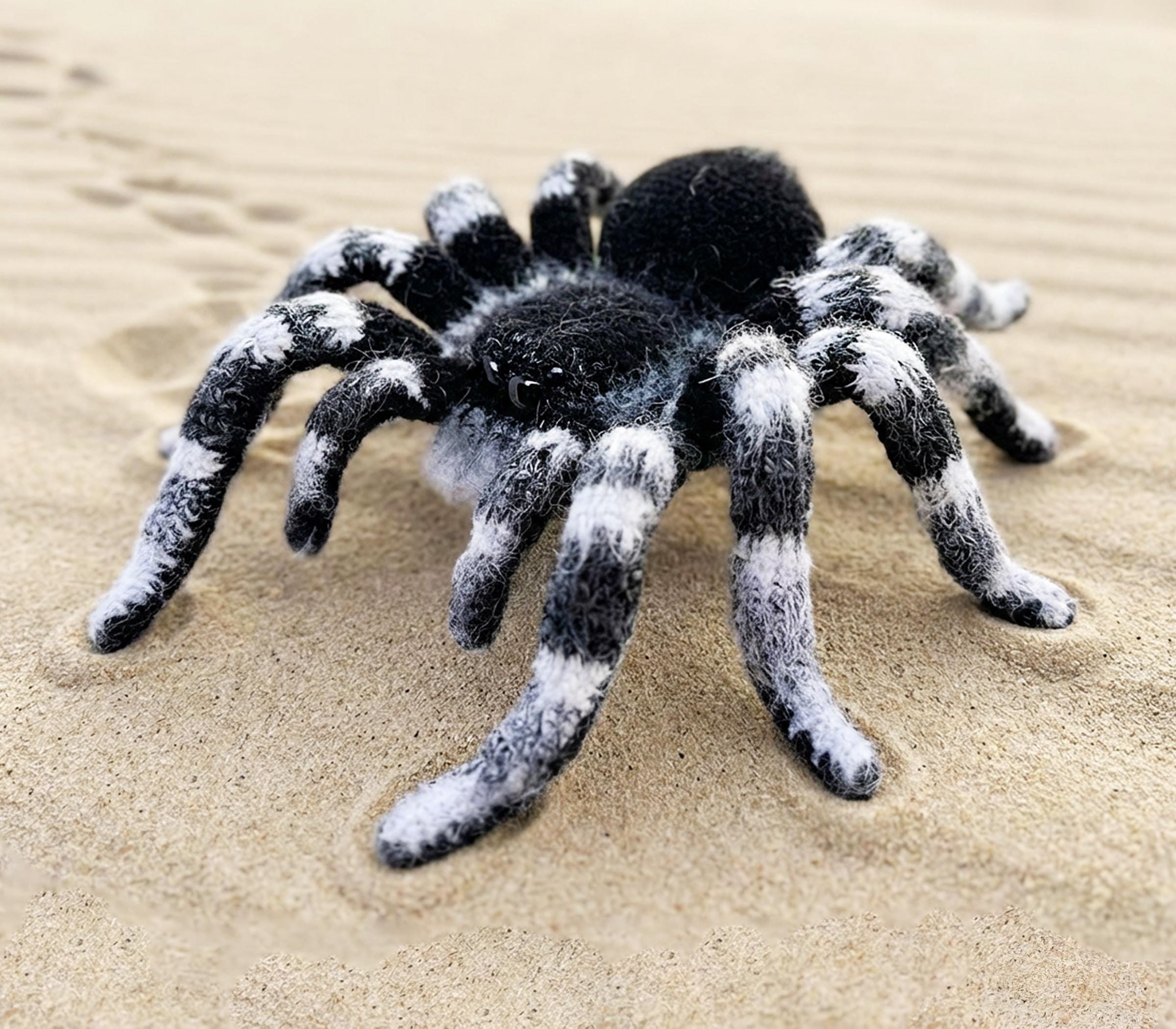 洋楽 Tarantula 洋楽 Tarantula Prime Video: Tarantula