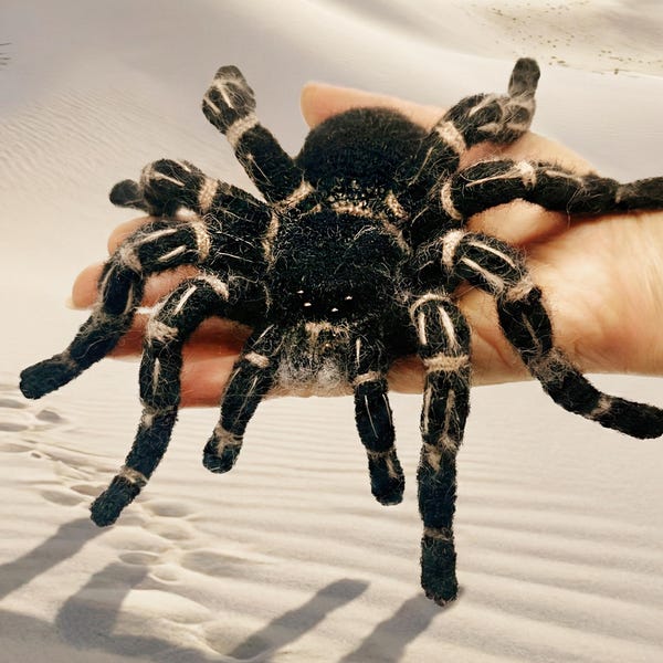 Amigurumi Zebraknee Vogelspinne aus Costa Rica. Gehäkelte Vogel Spinne Spinne fressend.