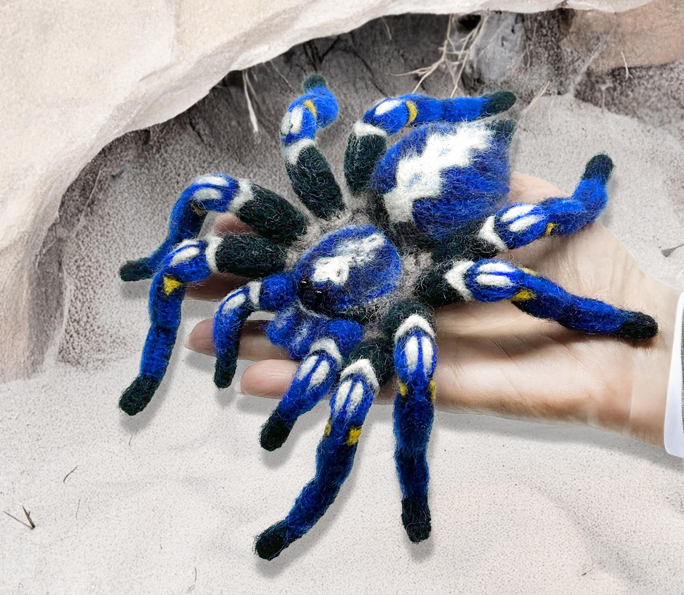 洋楽 Tarantula Ceratogyrus Darlingi (Rear Horned Baboon) - 3/4