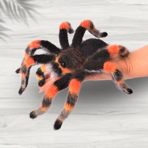 Crocheted Mexican red-knee tarantula. Realistic spider.