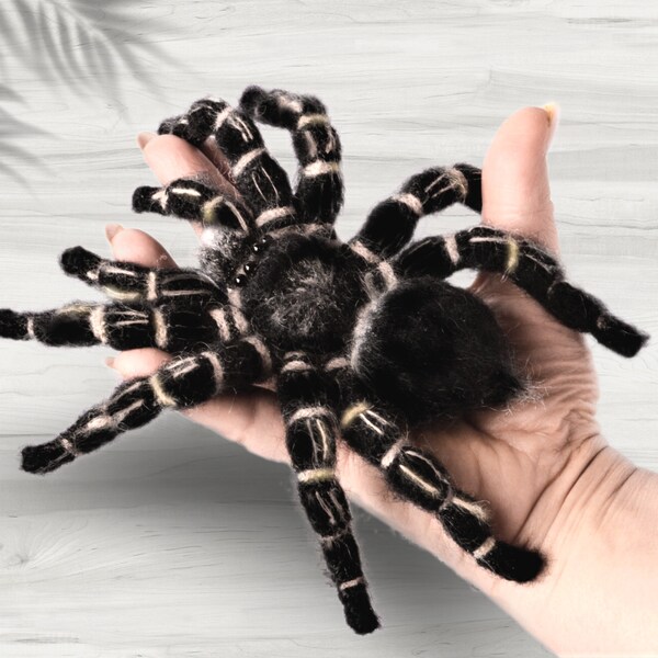 Crocheted Сosta Rican Zebraknee  Tarantula . Bird eating Spider. Lifelike spider.