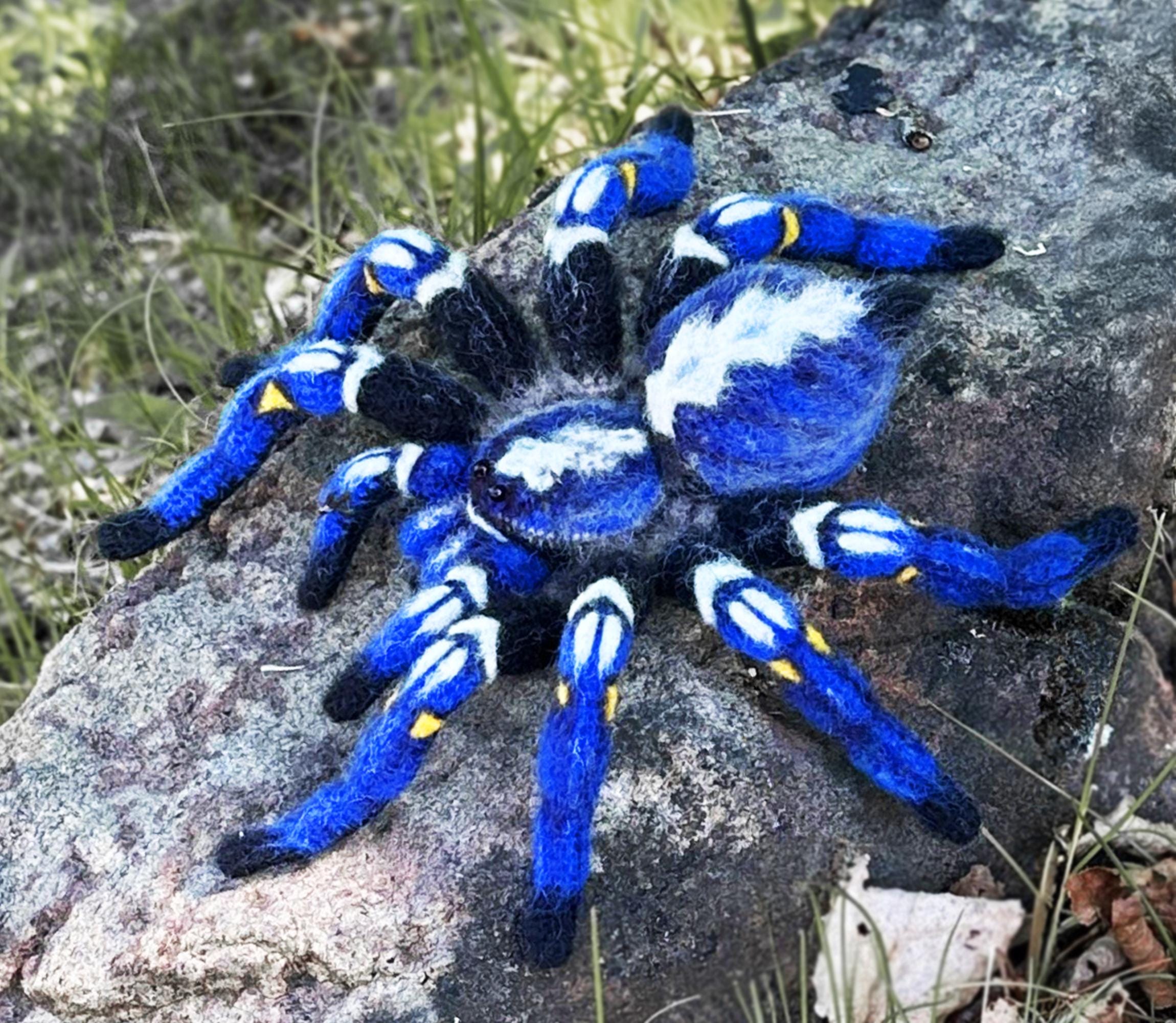 Crochet Pattern – Poecilotheria Metallica Tarantula | Realistic