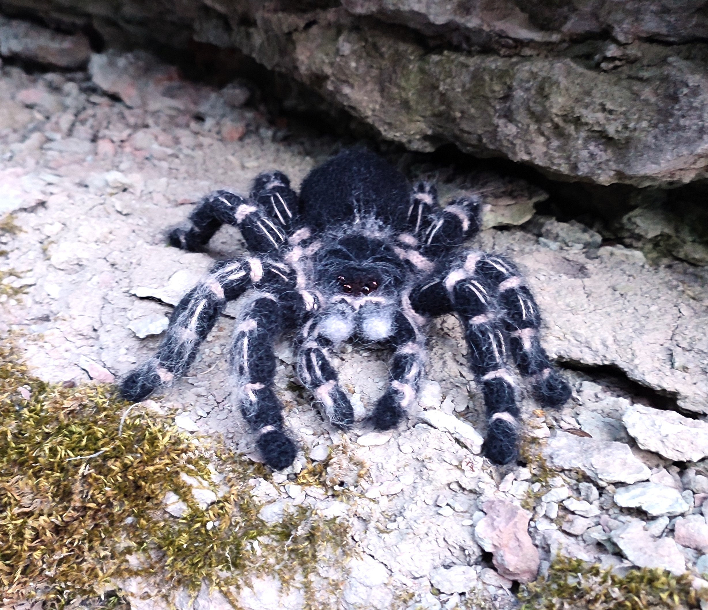 Amigurumi Costa Rican Zebraknee Tarantula. Crocheted Bird Eating