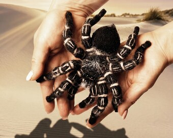 Amigurumi Costa Rican Zebraknee Tarantula. Crocheted Bird Eating
