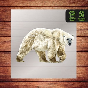 Bear DTF Transfer, Ice Polar Bear Design, Ready-to-Press Graphic for Apparel, Iron On Animal DTF for T-Shirts