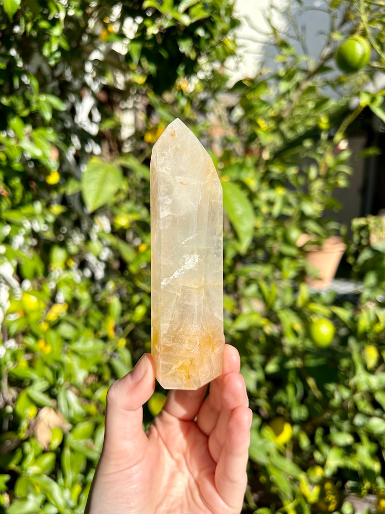 Puede incluir: Una punta de cristal de cuarzo transparente con un tono amarillo dorado. El cristal mide aproximadamente 10 cm de alto y tiene una punta puntiaguda. El cristal se sostiene en una mano contra un fondo borroso de follaje verde.