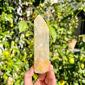 Puede incluir: Una punta de cristal transparente y facetada con un tono amarillo dorado. El cristal se sostiene en una mano contra un fondo borroso de follaje verde.