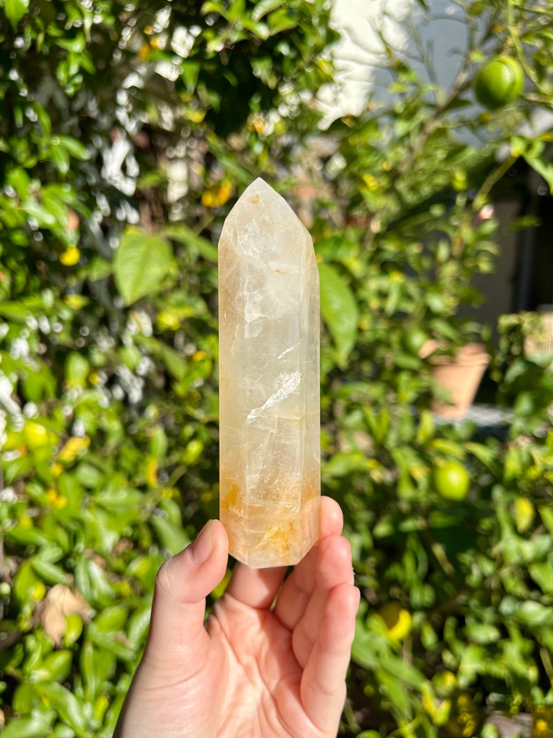 Puede incluir: Una punta de cristal de cuarzo transparente con un tono amarillo-marr&oacute;n. El cristal es puntiagudo en la parte superior y tiene una base plana. Se est&aacute; sosteniendo en una mano contra un fondo borroso de follaje verde.