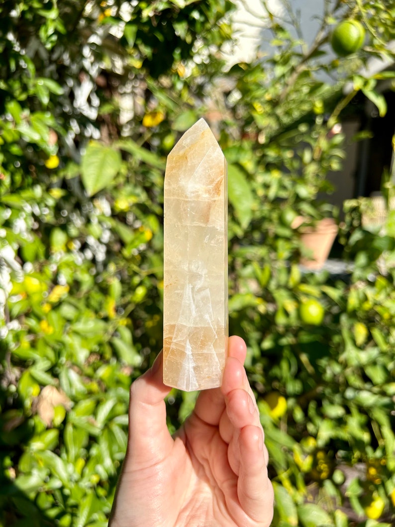 Puede incluir: Una punta de cristal de calcita de color amarillo claro con un acabado liso y pulido. El cristal se sostiene en una mano contra un fondo borroso de follaje verde.