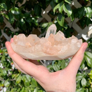 Rare Pink Samadhi Quartz Himalayan Quartz Cluster - Crown Chakra Healing