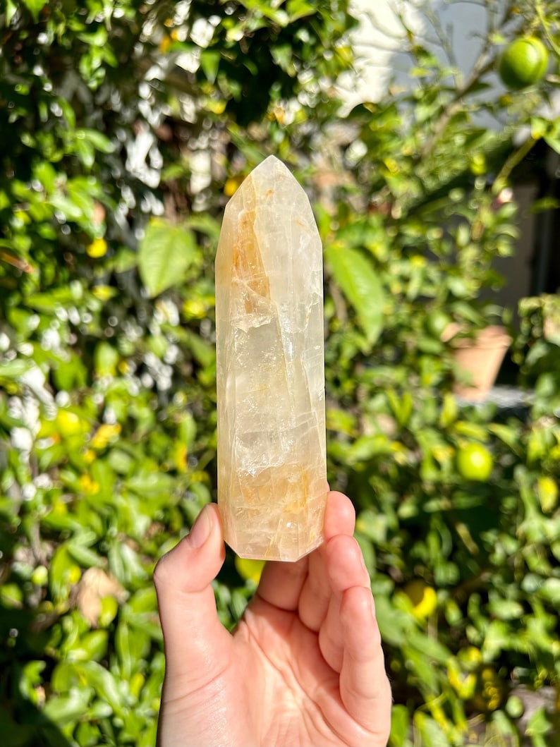 Puede incluir: Una punta de cristal de cuarzo transparente con un tono amarillo dorado. El cristal est&aacute; facetado y tiene una punta puntiaguda. Se sostiene en una mano contra un fondo borroso de follaje verde.