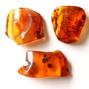 3 piezas de ámbar, piedras de ámbar natural, ámbar al por mayor, piedras de ámbar de recuerdo, ámbar de estilo crudo, piedras de ámbar, oferta al por mayor, ámbar con piel