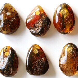 May include: Ten amber gemstone pendants with a hole drilled through the top. The pendants are various shades of brown, yellow, and orange. Some of the pendants have inclusions of insects or other organic matter.