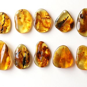 10 piezas masivas, piedras de ámbar pulidas, ámbar al por mayor, piedras de ámbar de recuerdo, ámbar color coñac, piedras de ámbar de forma libre, oferta al por mayor