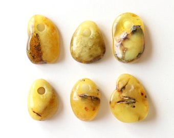 Natural Baltic amber pendants, 6 amber pendants, amber wholesale, amber for quantity, natural baltic amber pendants, yellow untreated amber