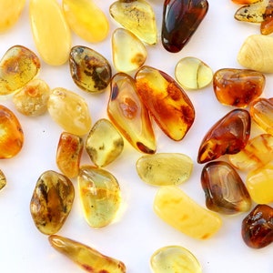 May include: A collection of amber stones in various shades of yellow, orange, and brown. The stones are smooth and polished, with some showing inclusions of insects or plant matter.