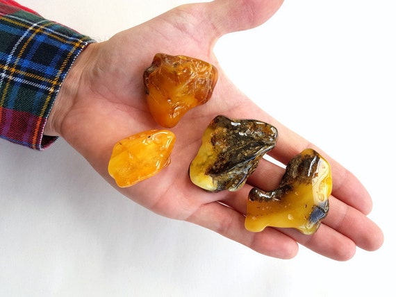 7 Massive Baltic Amber Stones Big Amber Stones Unique Massive Pieces Fossil Resin Genuine Baltic Amber Big Amber Nuggets Rare Amber Etsy Australia
