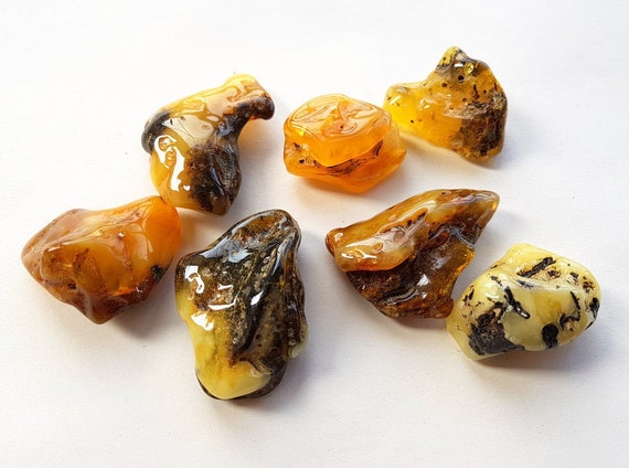 7 巨大なバルト海産琥珀石、大きな琥珀石、ユニークな巨大な破片、化石