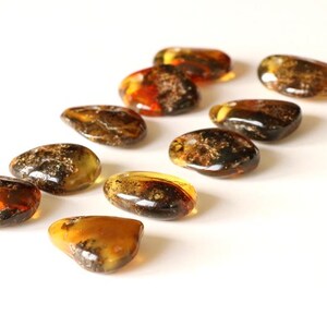 May include: A collection of ten amber stones, each with a unique shape and pattern of inclusions. The stones are a mix of brown, yellow, and orange hues.