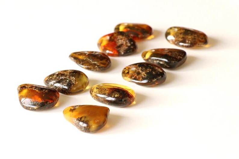 May include: A collection of ten amber stones, each with a unique shape and pattern of inclusions. The stones are a mix of brown, yellow, and orange hues.