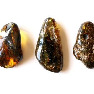 May include: Three pieces of amber, each with a different shade of brown and green. The amber is translucent and has a smooth, polished surface.