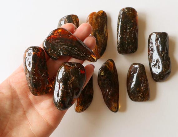 Black baltic amber discount